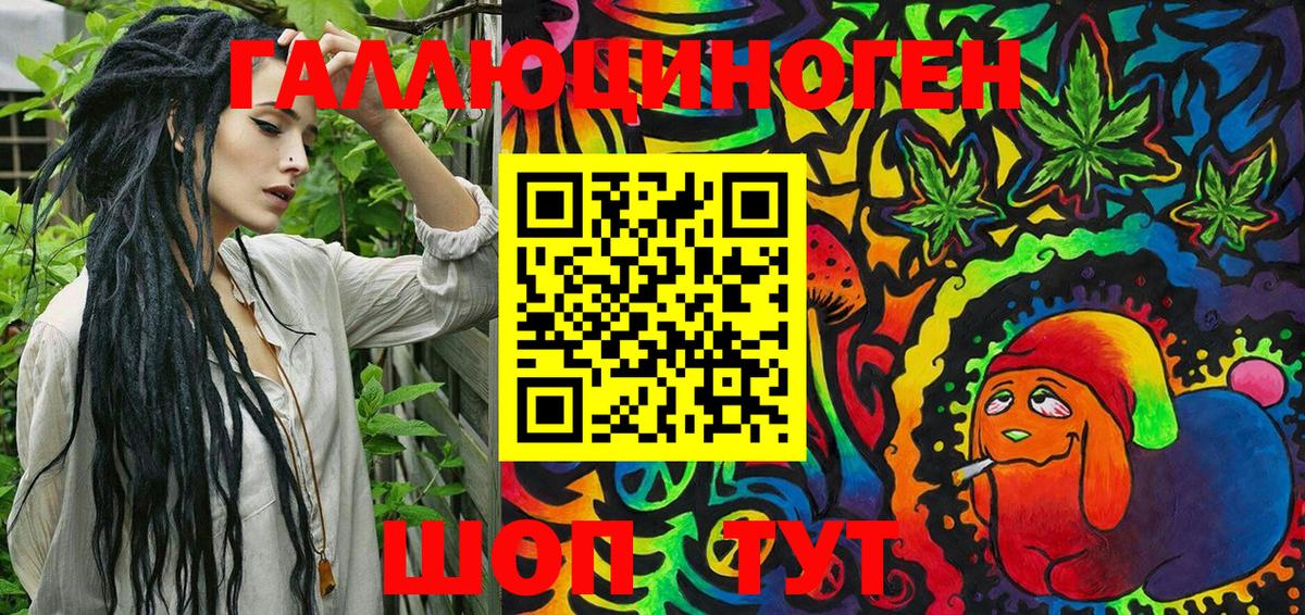 Псилоцибиновые грибы Psilocybine cubensis Гурьевск